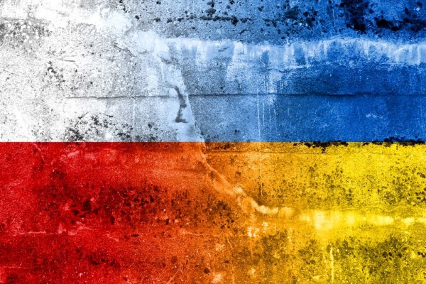 Польша-Украина: огонь по своим Польша-Украина: огонь по своим